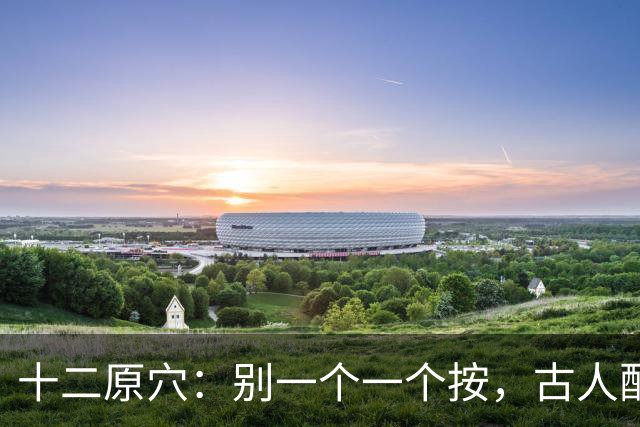 十二原穴：别一个一个按，古人配的是"对"