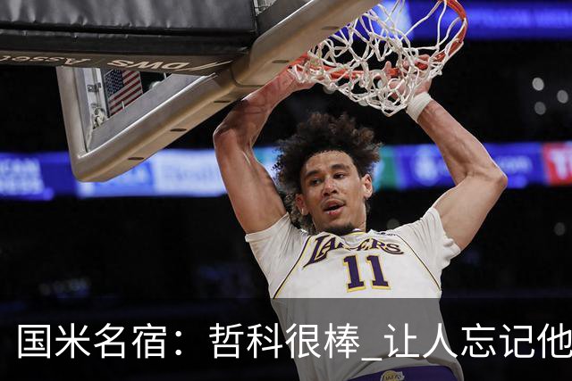 国米名宿：哲科很棒 让人忘记他已经这么大年纪